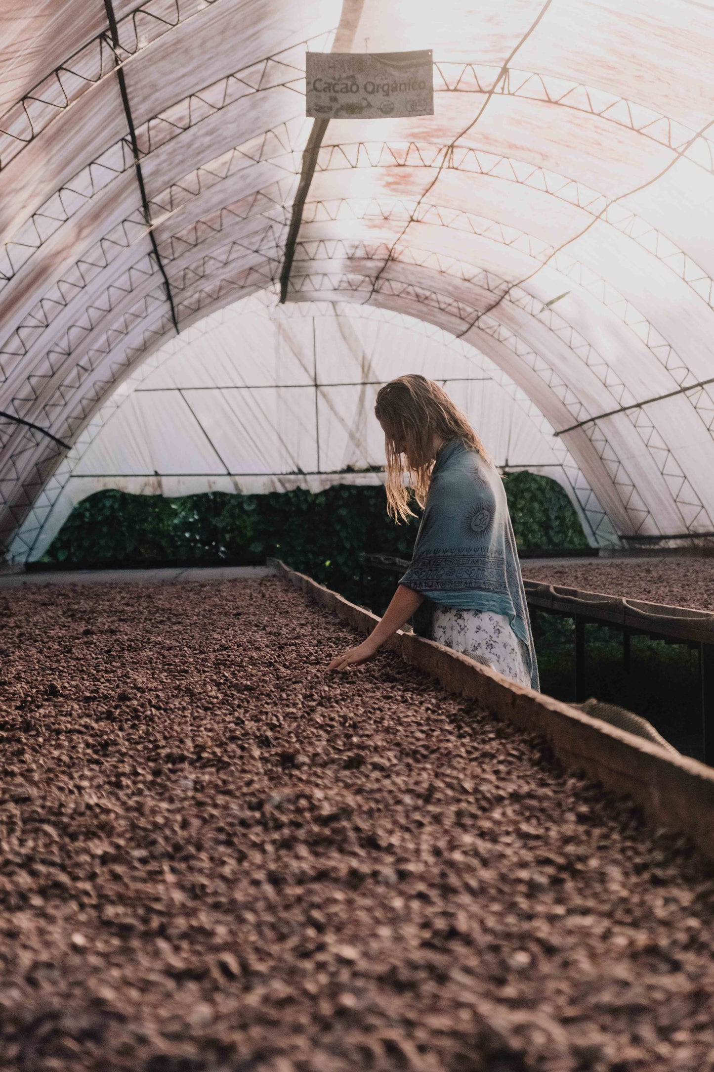 Almarte Rohkakao – rein, unverfälscht und im Einklang mit der Natur
